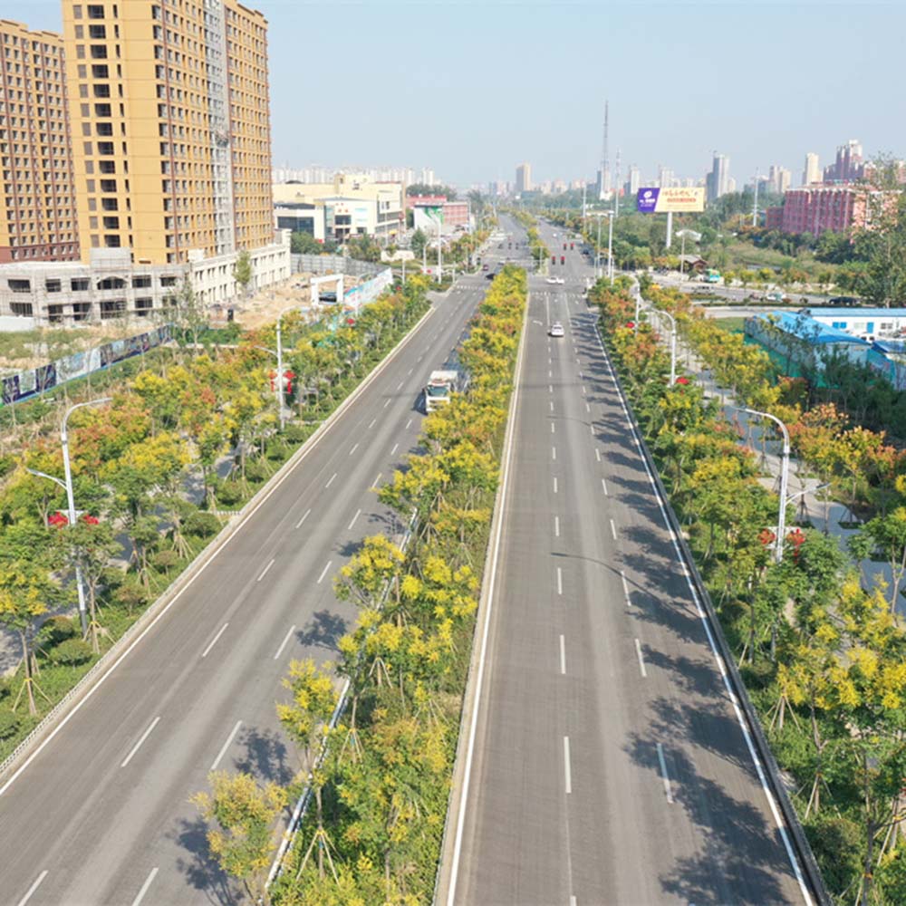 山東省鄆城縣城區道路政府和社會資本合作（PPP)項目